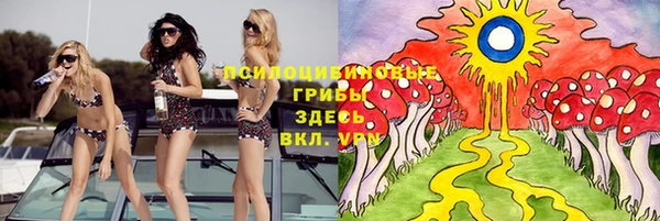 гидропоника Алексеевка
