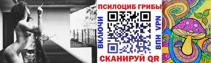 МЕГА   Лахденпохья  Галлюциногенные грибы Psilocybine cubensis 